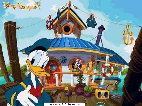 donald duck pak